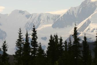 Media Name: blog_grizzlybear_alaska_imagebanner1.jpg